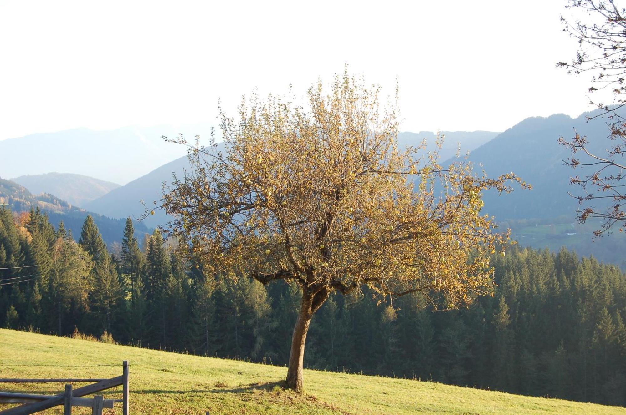 Walcherhof Arriach Kültér fotó