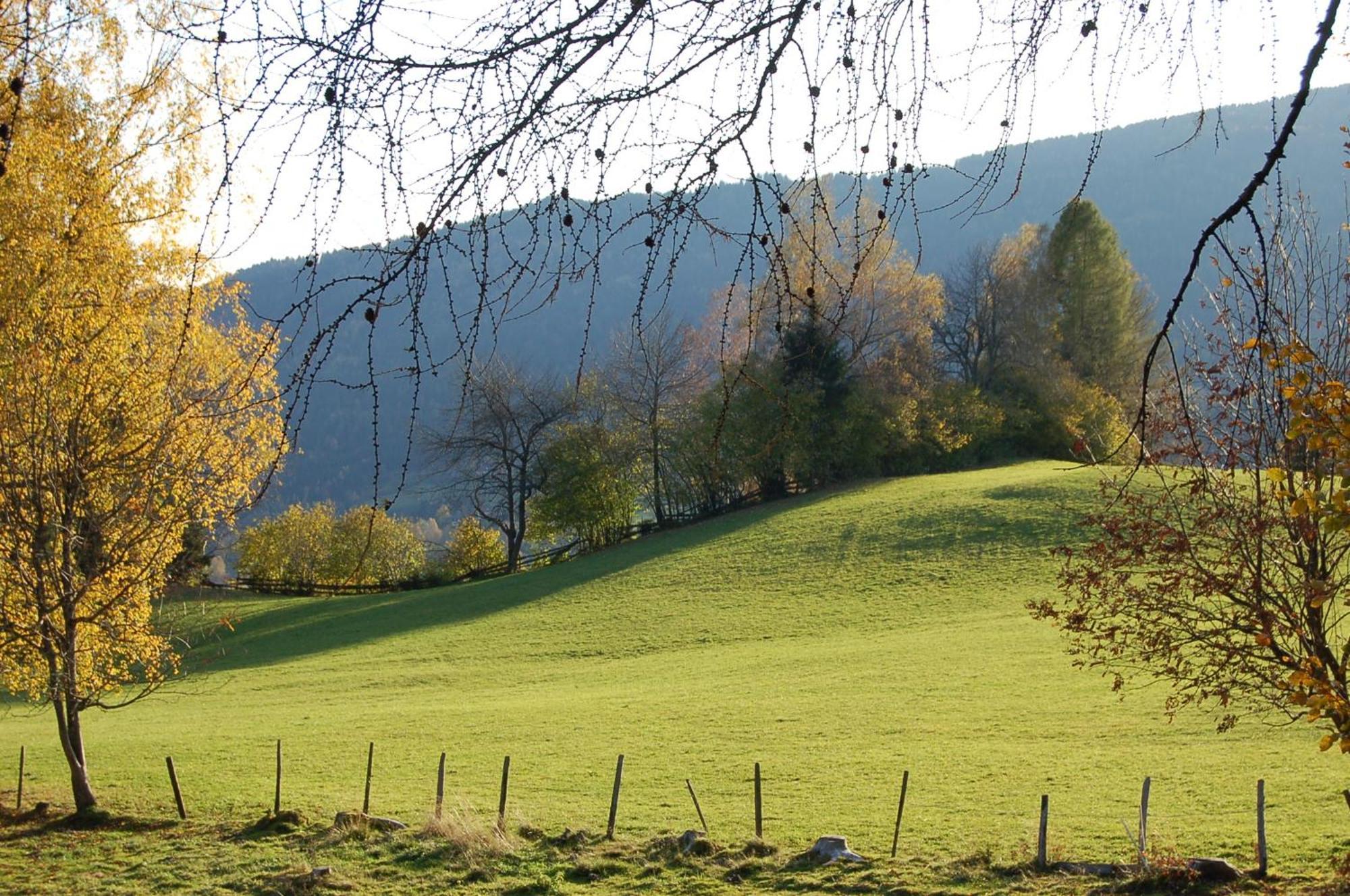 Walcherhof Arriach Kültér fotó