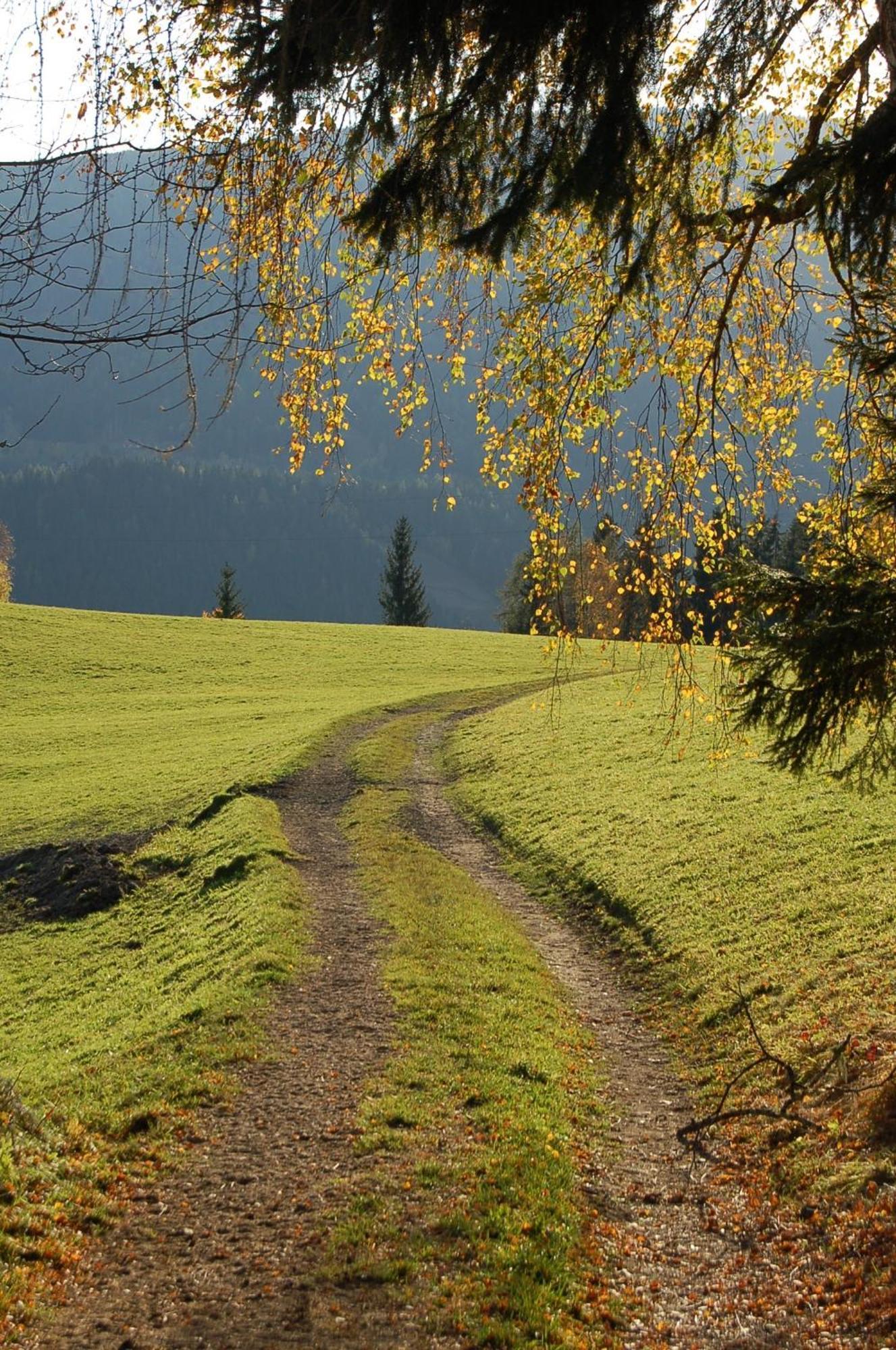 Walcherhof Arriach Kültér fotó