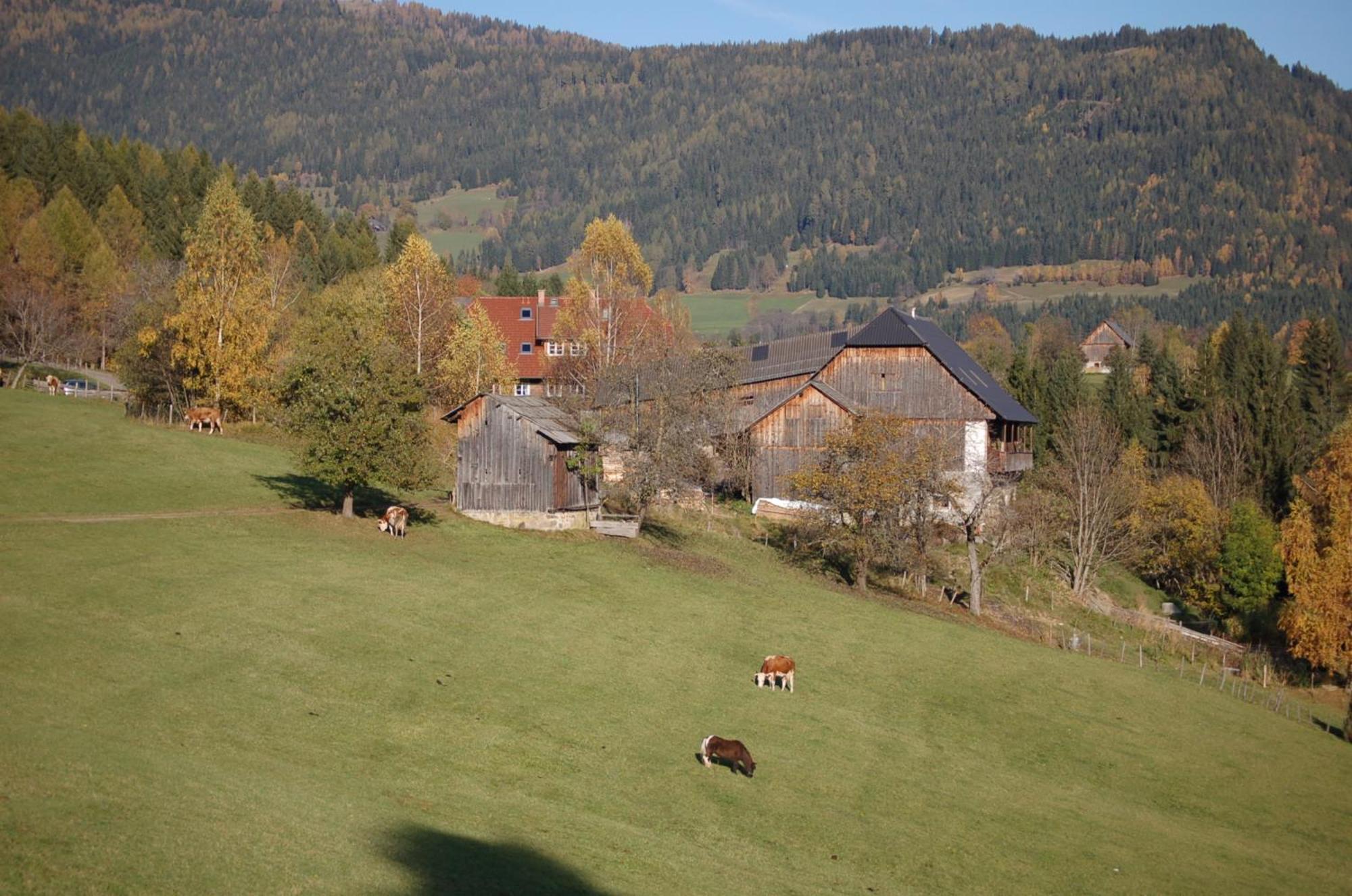 Walcherhof Arriach Kültér fotó